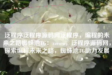 泛程序泛程序源码网泛程序，编程的未来之路蜘蛛池TG：zzcseo，泛程序源码网，探索编程未来之路，蜘蛛池TG助力发展