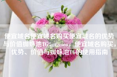 便宜域名便宜域名购买便宜域名的优势与价值蜘蛛池TG：zzcseo，便宜域名购买，优势、价值与蜘蛛池TG的使用指南