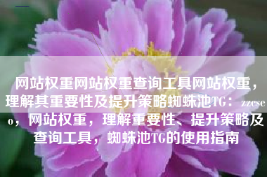 网站权重网站权重查询工具网站权重，理解其重要性及提升策略蜘蛛池TG：zzcseo，网站权重，理解重要性、提升策略及查询工具，蜘蛛池TG的使用指南