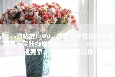 seoseo网站推广SEO,搜索引擎优化的关键要素与实践蜘蛛池TG:zzcseo,SEO实践指南,关键要素、蜘蛛池与网站推广策略 seoseo网站推广SEO,搜索引擎优化的关键要素与实践蜘蛛池TG:zzcseo,SEO实践指南,关键要素、蜘蛛池与网站推广策略