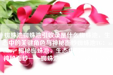 蜘蛛池蜘蛛池引收录是什么蜘蛛池，生态中的关键角色与神秘面纱蜘蛛池TG：zzcseo，揭秘蜘蛛池，生态中的关键角色与神秘面纱——蜘蛛池SEO引流与收录之道