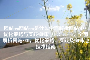 网站seo网站seo是什么全面解析网站SEO，优化策略与实践蜘蛛池TG：zzcseo，全面解析网站SEO，优化策略、实践及蜘蛛池技术指南