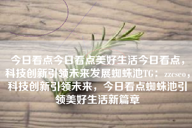 今日看点今日看点美好生活今日看点，科技创新引领未来发展蜘蛛池TG：zzcseo，科技创新引领未来，今日看点蜘蛛池引领美好生活新篇章