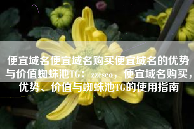 便宜域名便宜域名购买便宜域名的优势与价值蜘蛛池TG：zzcseo，便宜域名购买，优势、价值与蜘蛛池TG的使用指南