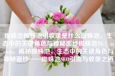 蜘蛛池蜘蛛池引收录是什么蜘蛛池，生态中的关键角色与神秘面纱蜘蛛池TG：zzcseo，揭秘蜘蛛池，生态中的关键角色与神秘面纱——蜘蛛池SEO引流与收录之道