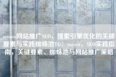 seoseo网站推广SEO，搜索引擎优化的关键要素与实践蜘蛛池TG：zzcseo，SEO实践指南，关键要素、蜘蛛池与网站推广策略