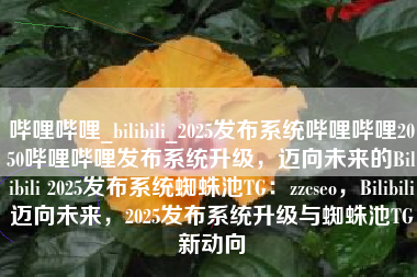 哔哩哔哩_bilibili_2025发布系统哔哩哔哩2050哔哩哔哩发布系统升级，迈向未来的Bilibili 2025发布系统蜘蛛池TG：zzcseo，Bilibili迈向未来，2025发布系统升级与蜘蛛池TG新动向
