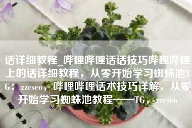 话详细教程_哔哩哔哩话话技巧哔哩哔哩上的话详细教程，从零开始学习蜘蛛池TG：zzcseo，哔哩哔哩话术技巧详解，从零开始学习蜘蛛池教程——TG，zzcseo