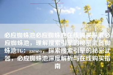 必应蜘蛛池必应蜘蛛池在线购买探索必应蜘蛛池，理解搜索引擎的秘密武器蜘蛛池TG：zzcseo，探索搜索引擎的秘密武器，必应蜘蛛池深度解析与在线购买指南