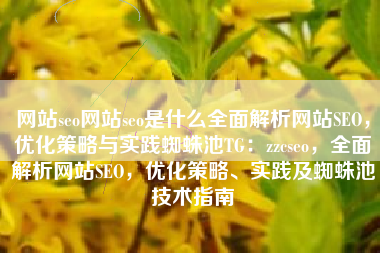 网站seo网站seo是什么全面解析网站SEO，优化策略与实践蜘蛛池TG：zzcseo，全面解析网站SEO，优化策略、实践及蜘蛛池技术指南