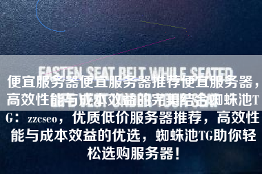 便宜服务器便宜服务器推荐便宜服务器，高效性能与成本效益的完美结合蜘蛛池TG：zzcseo，优质低价服务器推荐，高效性能与成本效益的优选，蜘蛛池TG助你轻松选购服务器！