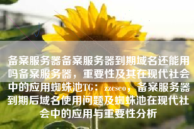 备案服务器备案服务器到期域名还能用吗备案服务器，重要性及其在现代社会中的应用蜘蛛池TG：zzcseo，备案服务器到期后域名使用问题及蜘蛛池在现代社会中的应用与重要性分析