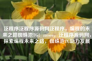 泛程序泛程序源码网泛程序，编程的未来之路蜘蛛池TG：zzcseo，泛程序源码网，探索编程未来之路，蜘蛛池TG助力发展