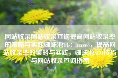 网站收录网站收录查询提高网站收录率的策略与实践蜘蛛池TG：zzcseo，提高网站收录率的策略与实践，蜘蛛池SEO技巧与网站收录查询指南