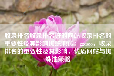 收录排名收录排名好的网站收录排名的重要性及其影响蜘蛛池TG：zzcseo，收录排名的重要性及其影响，优质网站与蜘蛛池策略