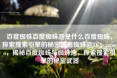 百度蜘蛛百度蜘蛛池是什么百度蜘蛛，探索搜索引擎的秘密武器蜘蛛池TG：zzcseo，揭秘百度蜘蛛与蜘蛛池，探索搜索引擎的秘密武器