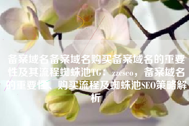 备案域名备案域名购买备案域名的重要性及其流程蜘蛛池TG:zzcseo,备案域名的重要性、购买流程及蜘蛛池SEO策略解析 备案域名备案域名购买备案域名的重要性及其流程蜘蛛池TG:zzcseo,备案域名的重要性、购买流程及蜘蛛池SEO策略解析