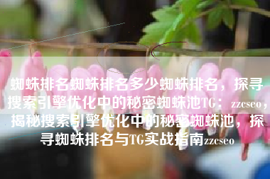 蜘蛛排名蜘蛛排名多少蜘蛛排名，探寻搜索引擎优化中的秘密蜘蛛池TG：zzcseo，揭秘搜索引擎优化中的秘密蜘蛛池，探寻蜘蛛排名与TG实战指南zzcseo