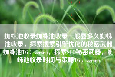 蜘蛛池收录蜘蛛池收录一般要多久蜘蛛池收录，探索搜索引擎优化的秘密武器蜘蛛池TG：zzcseo，探索SEO秘密武器，蜘蛛池收录时间与策略TG，zzcseo