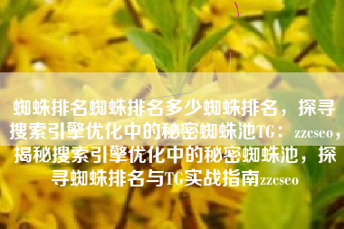 蜘蛛排名蜘蛛排名多少蜘蛛排名，探寻搜索引擎优化中的秘密蜘蛛池TG：zzcseo，揭秘搜索引擎优化中的秘密蜘蛛池，探寻蜘蛛排名与TG实战指南zzcseo