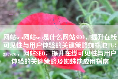 网站seo网站seo是什么网站SEO，提升在线可见性与用户体验的关键策略蜘蛛池TG：zzcseo，网站SEO，提升在线可见性与用户体验的关键策略及蜘蛛池应用指南