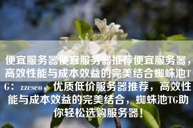 便宜服务器便宜服务器推荐便宜服务器，高效性能与成本效益的完美结合蜘蛛池TG：zzcseo，优质低价服务器推荐，高效性能与成本效益的完美结合，蜘蛛池TG助你轻松选购服务器！