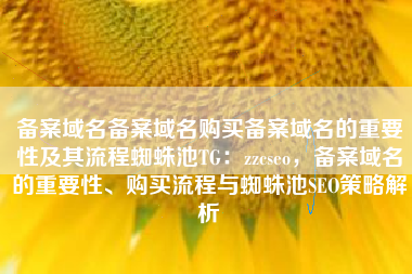 备案域名备案域名购买备案域名的重要性及其流程蜘蛛池TG：zzcseo，备案域名的重要性、购买流程与蜘蛛池SEO策略解析