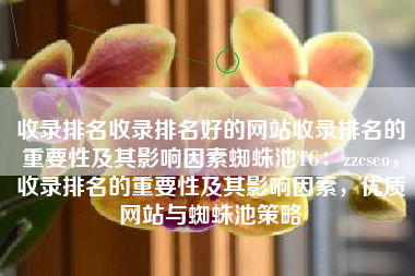 收录排名收录排名好的网站收录排名的重要性及其影响因素蜘蛛池TG：zzcseo，收录排名的重要性及其影响因素，优质网站与蜘蛛池策略