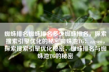 蜘蛛排名蜘蛛排名多少蜘蛛排名，探索搜索引擎优化的秘密蜘蛛池TG：zzcseo，探索搜索引擎优化秘密，蜘蛛排名与蜘蛛池TG的秘密