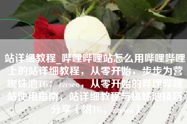 站详细教程_哔哩哔哩站怎么用哔哩哔哩上的站详细教程，从零开始，步步为营蜘蛛池TG：zzcseo，从零开始的哔哩哔哩站使用指南，站详细教程与蜘蛛池技巧分享（附TG，zzcseo）