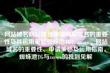 网站域名网站域名申请网站域名的重要性及其运用策略蜘蛛池TG：zzcseo，网站域名的重要性、申请策略及运用指南，蜘蛛池TG与zzcseo的独到见解