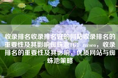 收录排名收录排名好的网站收录排名的重要性及其影响蜘蛛池TG：zzcseo，收录排名的重要性及其影响，优质网站与蜘蛛池策略
