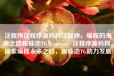 泛程序泛程序源码网泛程序，编程的未来之路蜘蛛池TG：zzcseo，泛程序源码网，探索编程未来之路，蜘蛛池TG助力发展