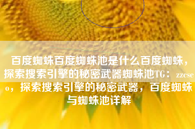 百度蜘蛛百度蜘蛛池是什么百度蜘蛛，探索搜索引擎的秘密武器蜘蛛池TG：zzcseo，探索搜索引擎的秘密武器，百度蜘蛛与蜘蛛池详解