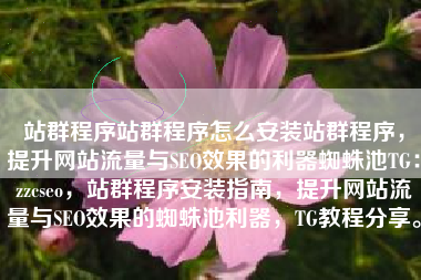 站群程序站群程序怎么安装站群程序，提升网站流量与SEO效果的利器蜘蛛池TG：zzcseo，站群程序安装指南，提升网站流量与SEO效果的蜘蛛池利器，TG教程分享。