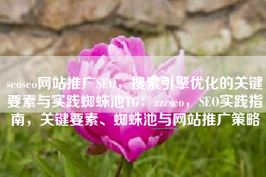 seoseo网站推广SEO，搜索引擎优化的关键要素与实践蜘蛛池TG：zzcseo，SEO实践指南，关键要素、蜘蛛池与网站推广策略
