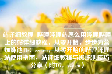 站详细教程_哔哩哔哩站怎么用哔哩哔哩上的站详细教程，从零开始，步步为营蜘蛛池TG：zzcseo，从零开始的哔哩哔哩站使用指南，站详细教程与蜘蛛池技巧分享（附TG，zzcseo）