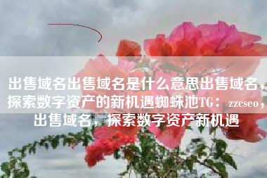 出售域名出售域名是什么意思出售域名,探索数字资产的新机遇蜘蛛池TG:zzcseo,出售域名,探索数字资产新机遇 出售域名出售域名是什么意思出售域名,探索数字资产的新机遇蜘蛛池TG:zzcseo,出售域名,探索数字资产新机遇