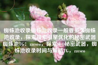 蜘蛛池收录蜘蛛池收录一般要多久蜘蛛池收录，探索搜索引擎优化的秘密武器蜘蛛池TG：zzcseo，探索SEO秘密武器，蜘蛛池收录时间与策略TG，zzcseo