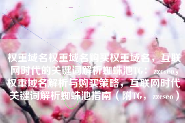 权重域名权重域名购买权重域名，互联网时代的关键词解析蜘蛛池TG：zzcseo，权重域名解析与购买策略，互联网时代关键词解析蜘蛛池指南（附TG，zzcseo）