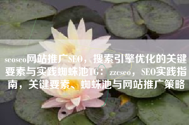 seoseo网站推广SEO，搜索引擎优化的关键要素与实践蜘蛛池TG：zzcseo，SEO实践指南，关键要素、蜘蛛池与网站推广策略