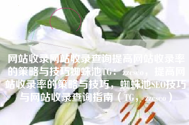 网站收录网站收录查询提高网站收录率的策略与技巧蜘蛛池TG：zzcseo，提高网站收录率的策略与技巧，蜘蛛池SEO技巧与网站收录查询指南（TG，zzcseo）