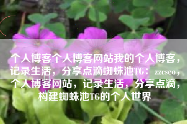 个人博客个人博客网站我的个人博客，记录生活，分享点滴蜘蛛池TG：zzcseo，个人博客网站，记录生活，分享点滴，构建蜘蛛池TG的个人世界