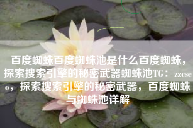 百度蜘蛛百度蜘蛛池是什么百度蜘蛛，探索搜索引擎的秘密武器蜘蛛池TG：zzcseo，探索搜索引擎的秘密武器，百度蜘蛛与蜘蛛池详解