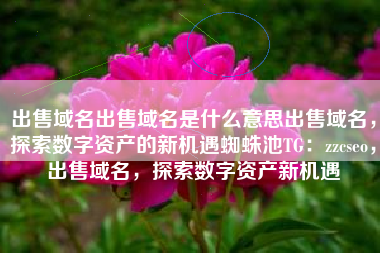 出售域名出售域名是什么意思出售域名,探索数字资产的新机遇蜘蛛池TG:zzcseo,出售域名,探索数字资产新机遇 出售域名出售域名是什么意思出售域名,探索数字资产的新机遇蜘蛛池TG:zzcseo,出售域名,探索数字资产新机遇