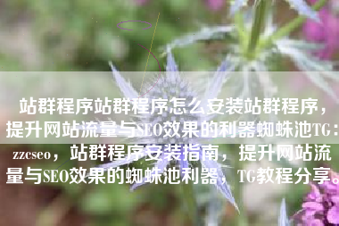 站群程序站群程序怎么安装站群程序，提升网站流量与SEO效果的利器蜘蛛池TG：zzcseo，站群程序安装指南，提升网站流量与SEO效果的蜘蛛池利器，TG教程分享。