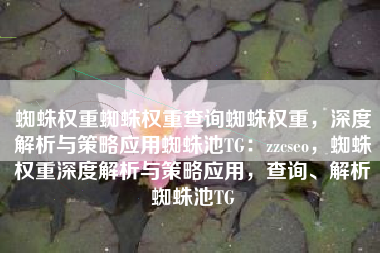 蜘蛛权重蜘蛛权重查询蜘蛛权重，深度解析与策略应用蜘蛛池TG：zzcseo，蜘蛛权重深度解析与策略应用，查询、解析蜘蛛池TG