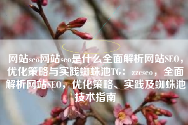 网站seo网站seo是什么全面解析网站SEO，优化策略与实践蜘蛛池TG：zzcseo，全面解析网站SEO，优化策略、实践及蜘蛛池技术指南