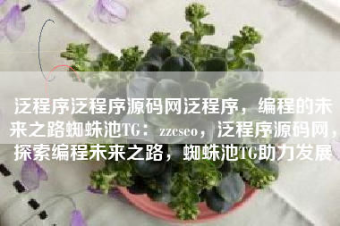 泛程序泛程序源码网泛程序，编程的未来之路蜘蛛池TG：zzcseo，泛程序源码网，探索编程未来之路，蜘蛛池TG助力发展