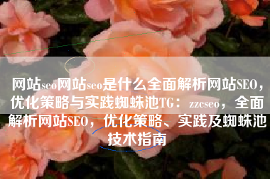 网站seo网站seo是什么全面解析网站SEO，优化策略与实践蜘蛛池TG：zzcseo，全面解析网站SEO，优化策略、实践及蜘蛛池技术指南